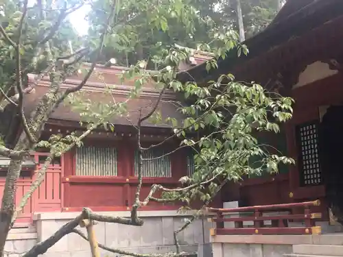 志波彦神社・鹽竈神社の本殿・本堂