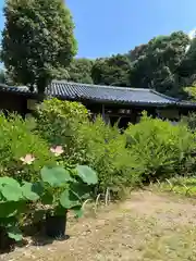 白毫寺(奈良県)