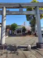 日枝神社(神奈川県)