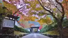 高徳庵　(最勝院）の建物その他