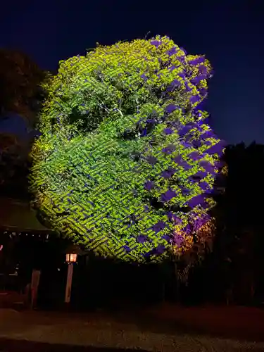 武蔵一宮氷川神社(埼玉県)