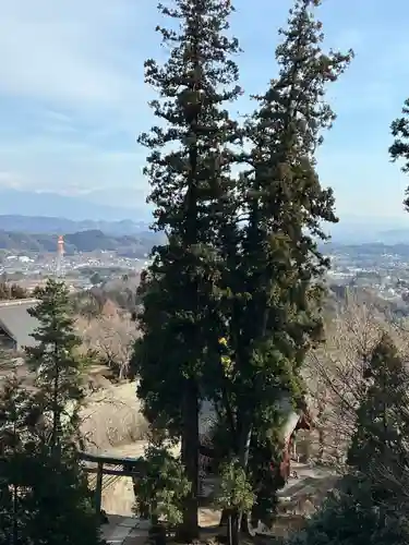 妙義神社(群馬県)