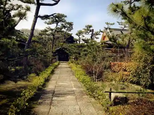 南宗寺の庭園