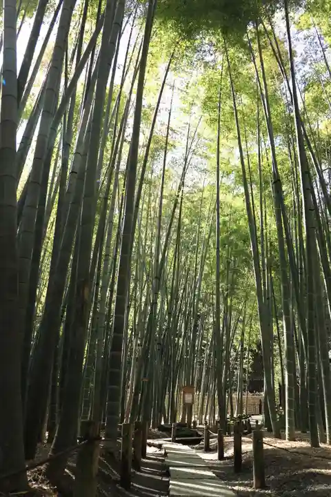 報国寺(神奈川県)