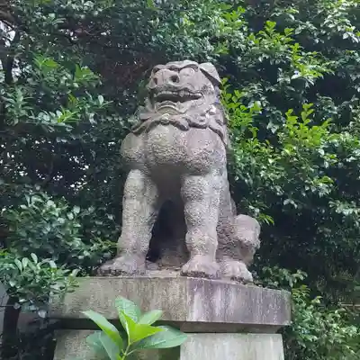 赤坂氷川神社の狛犬