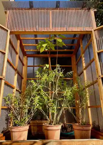 福王山  慈眼寺の自然