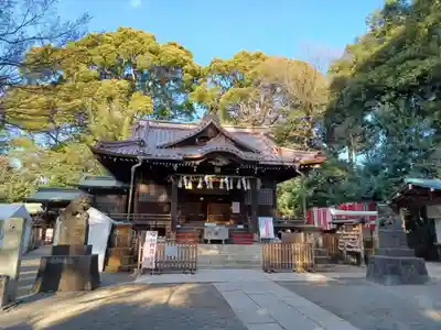 代々木八幡宮の本殿・本堂