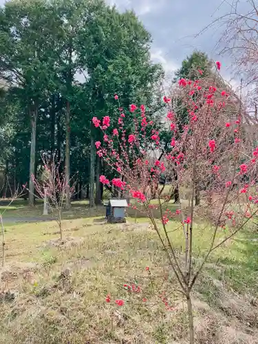 高平山遍照寺の自然