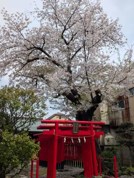 白山神社(東京都)