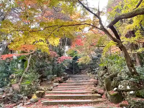 乾徳寺(滋賀県)
