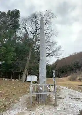 諏訪大社上社前宮(長野県)