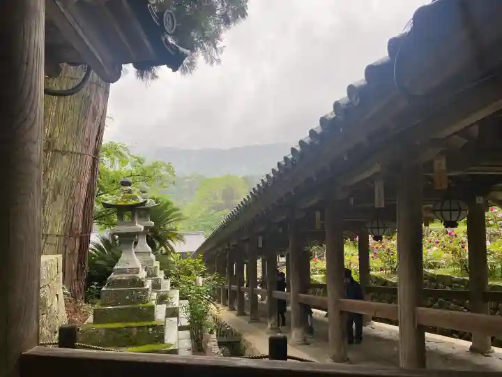 長谷寺の{uncategorized: "未分類", other: "その他", undefined: "問題あり", building: "その他建物", grave: "お墓", sacred_gate: "鳥居", guardian: "狛犬", statue: "像", buddha: "仏像", history: "歴史", nature: "自然", garden: "庭園", animal: "動物", pagoda: "塔", temizu: "手水舎", mountain_gate: "山門・神門", sanctuary: "本殿・本堂", subordinate: "末社・摂社", art: "芸術", scenery: "景色", jizo: "地蔵", ema: "絵馬", goshuin: "御朱印", omikuji: "おみくじ", items: "授与品その他", amulet: "お守り", goshuincho: "御朱印帳", eats: "食事", festival: "お祭り", votive_dance: "神楽", shichigosan: "七五三参", wedding: "結婚式", experience: "体験その他", initially: "初詣", around: "周辺", anti_infection: "感染症対策"}