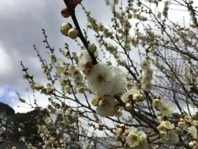 北野天満宮(京都府)