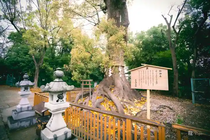 和泉國一之宮 大鳥大社(大阪府)