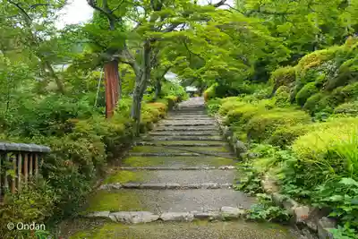 善峯寺(京都府)