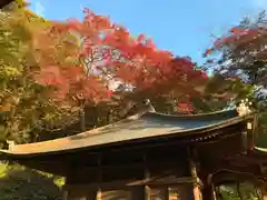 普門寺(切り絵御朱印発祥の寺)の本殿