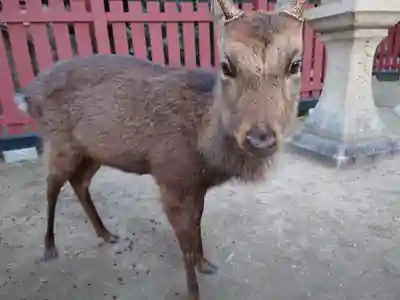 三翁神社(広島県)