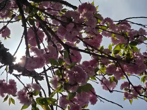 長谷山口坐神社(奈良県)