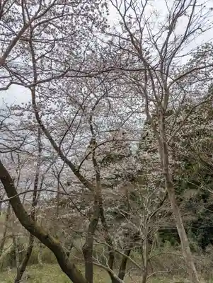 勝持寺（花の寺）(京都府)