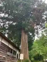 妙厳寺のその他建物