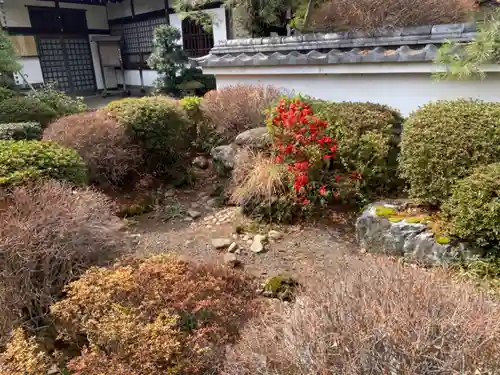 井口院の庭園
