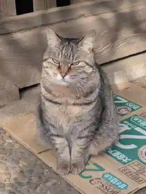 白幡八幡神社(神奈川県)