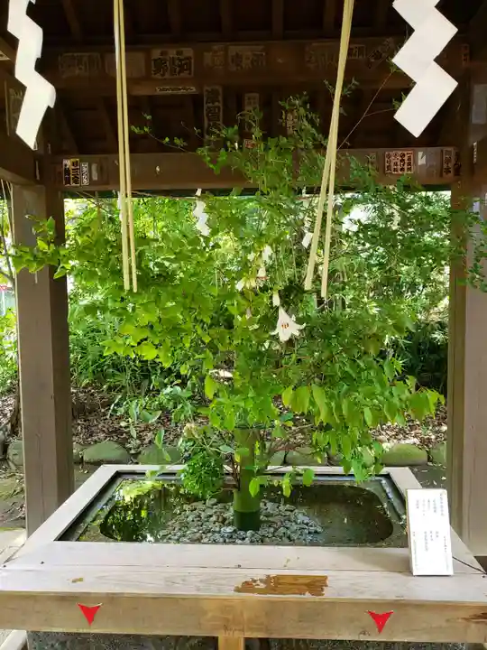 赤坂氷川神社(東京都)