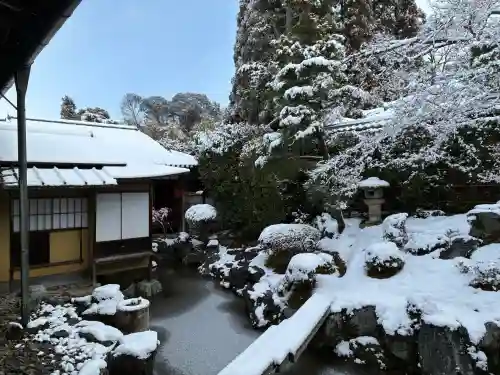三宝院（三宝院門跡）の{uncategorized: "未分類", other: "その他", undefined: "問題あり", building: "その他建物", grave: "お墓", sacred_gate: "鳥居", guardian: "狛犬", statue: "像", buddha: "仏像", history: "歴史", nature: "自然", garden: "庭園", animal: "動物", pagoda: "塔", temizu: "手水舎", mountain_gate: "山門・神門", sanctuary: "本殿・本堂", subordinate: "末社・摂社", art: "芸術", scenery: "景色", jizo: "地蔵", ema: "絵馬", goshuin: "御朱印", omikuji: "おみくじ", items: "授与品その他", amulet: "お守り", goshuincho: "御朱印帳", eats: "食事", festival: "お祭り", votive_dance: "神楽", shichigosan: "七五三参", wedding: "結婚式", experience: "体験その他", initially: "初詣", around: "周辺", anti_infection: "感染症対策"}