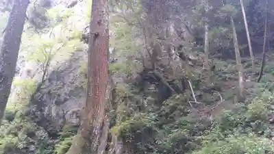 秋元神社の周辺