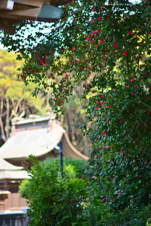 酒列磯前神社(茨城県)