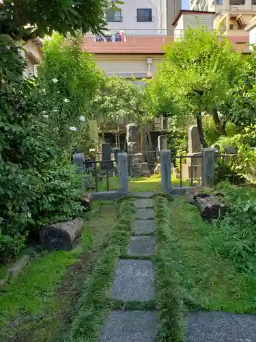 大円寺(東京都)