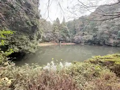 八大龍王弁財天大神(奈良県)