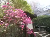 安國論寺(安国論寺)の景色