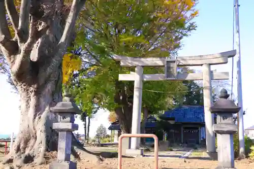 八幡大神社の鳥居