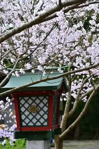 彌彦神社(新潟県)