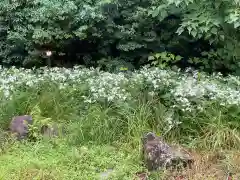 八事山 興正寺(愛知県)