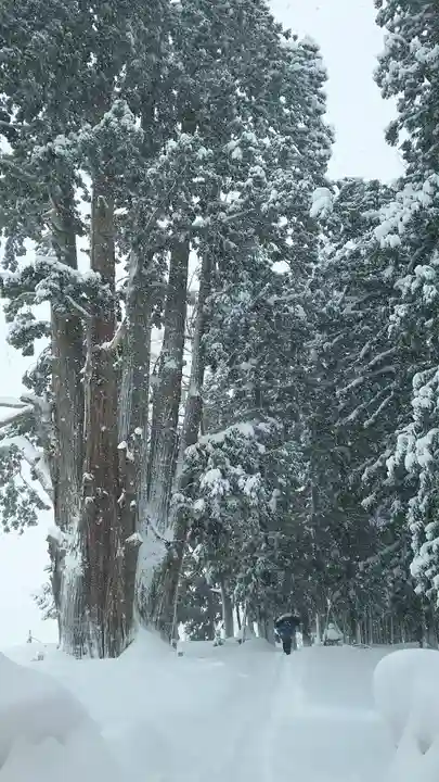 矢放神社(新潟県)