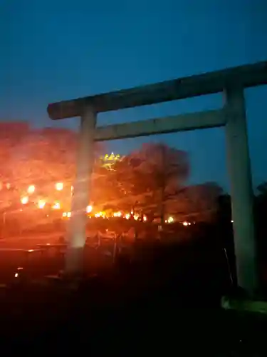 華蔵寺の{uncategorized: "未分類", other: "その他", undefined: "問題あり", building: "その他建物", grave: "お墓", sacred_gate: "鳥居", guardian: "狛犬", statue: "像", buddha: "仏像", history: "歴史", nature: "自然", garden: "庭園", animal: "動物", pagoda: "塔", temizu: "手水舎", mountain_gate: "山門・神門", sanctuary: "本殿・本堂", subordinate: "末社・摂社", art: "芸術", scenery: "景色", jizo: "地蔵", ema: "絵馬", goshuin: "御朱印", omikuji: "おみくじ", items: "授与品その他", amulet: "お守り", goshuincho: "御朱印帳", eats: "食事", festival: "お祭り", votive_dance: "神楽", shichigosan: "七五三参", wedding: "結婚式", experience: "体験その他", initially: "初詣", around: "周辺", anti_infection: "感染症対策"}