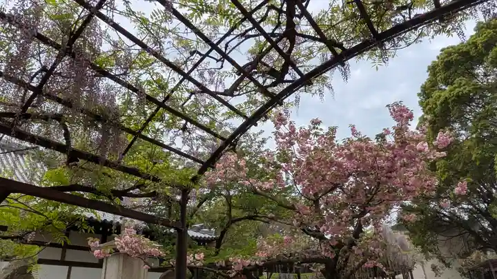 葛井寺(大阪府)