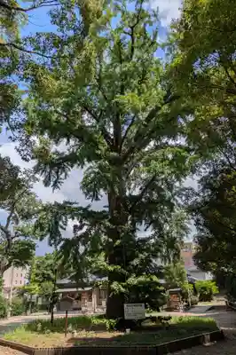 飯香岡八幡宮(千葉県)