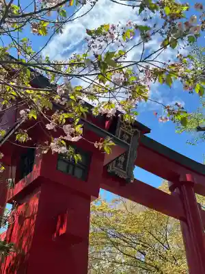 彌彦神社　(伊夜日子神社)の{uncategorized: "未分類", other: "その他", undefined: "問題あり", building: "その他建物", grave: "お墓", sacred_gate: "鳥居", guardian: "狛犬", statue: "像", buddha: "仏像", history: "歴史", nature: "自然", garden: "庭園", animal: "動物", pagoda: "塔", temizu: "手水舎", mountain_gate: "山門・神門", sanctuary: "本殿・本堂", subordinate: "末社・摂社", art: "芸術", scenery: "景色", jizo: "地蔵", ema: "絵馬", goshuin: "御朱印", omikuji: "おみくじ", items: "授与品その他", amulet: "お守り", goshuincho: "御朱印帳", eats: "食事", festival: "お祭り", votive_dance: "神楽", shichigosan: "七五三参", wedding: "結婚式", experience: "体験その他", initially: "初詣", around: "周辺", anti_infection: "感染症対策"}