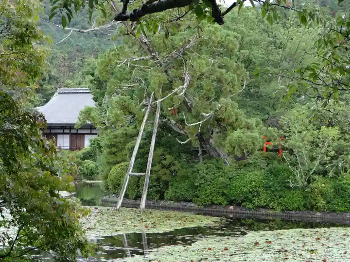 龍安寺(京都府)