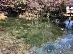 富士山本宮浅間大社(静岡県)