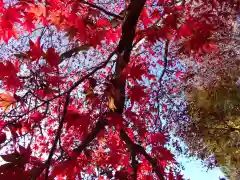 古峯神社の自然