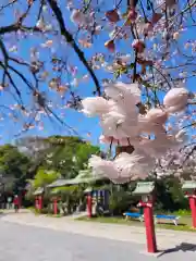 岡村天満宮(神奈川県)