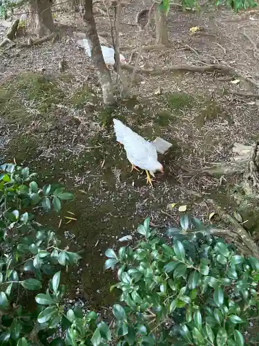 伊勢神宮内宮（皇大神宮）(三重県)