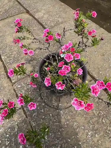 伏木香取神社(茨城県)