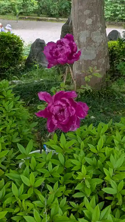 當麻寺奥院(奈良県)