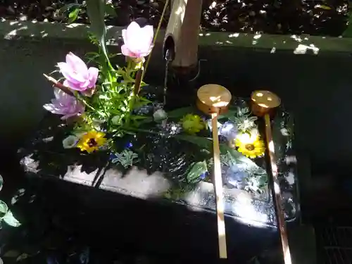 稲毛神社の手水舎