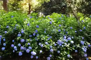 浄土寺(兵庫県)(2025年06月20日(金) 07時02分38秒投稿)